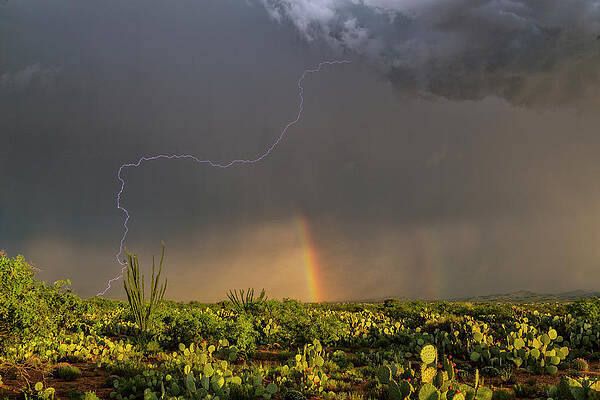 Wall Art - Photograph - Lightning Strike And Rainbow by Science Photo Library