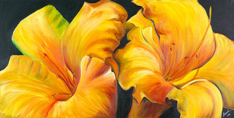 lillies by Sheri Chakamian lillies by Sheri Chakamian