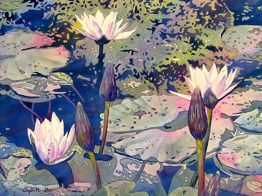 Lilly Pond by Daydre Hamilton Lilly Pond by Daydre Hamilton