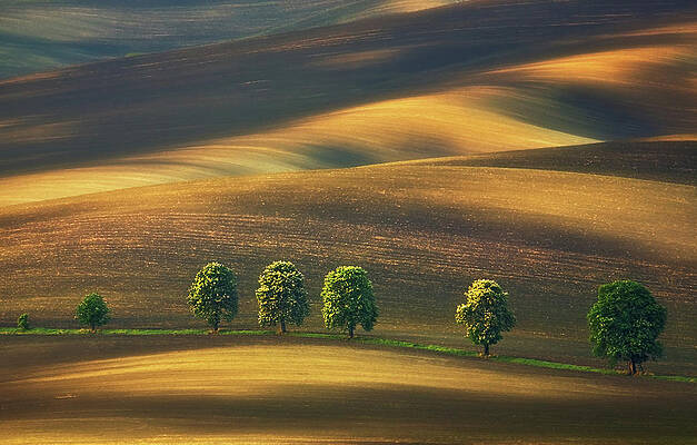 Wall Art - Photograph - Line... by Krzysztof Browko
