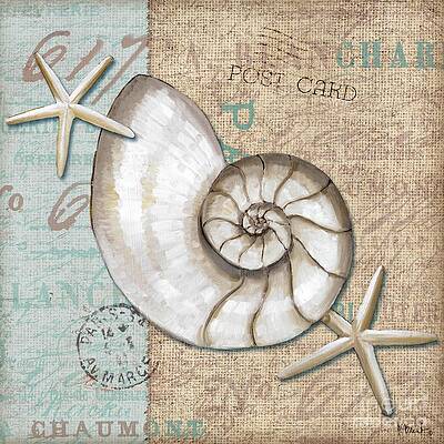 Nautilus Shell Paintings Fine Art America Nautilus Shell Paintings Fine Art America