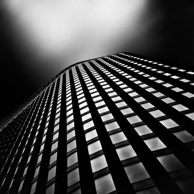 Wall Art - Photograph - Lines of Learning by Dave Bowman
