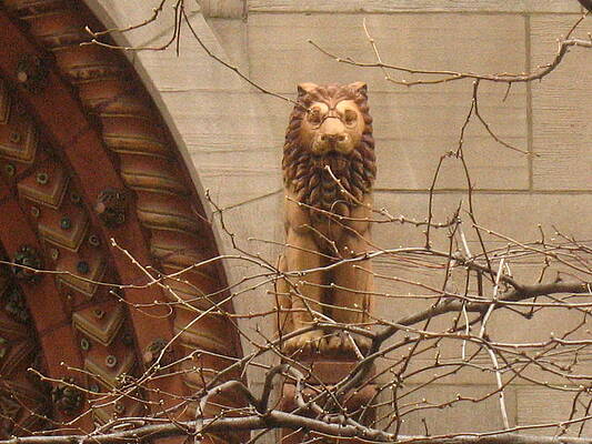 Lion in The City by Alan Chandler Lion in The City by Alan Chandler