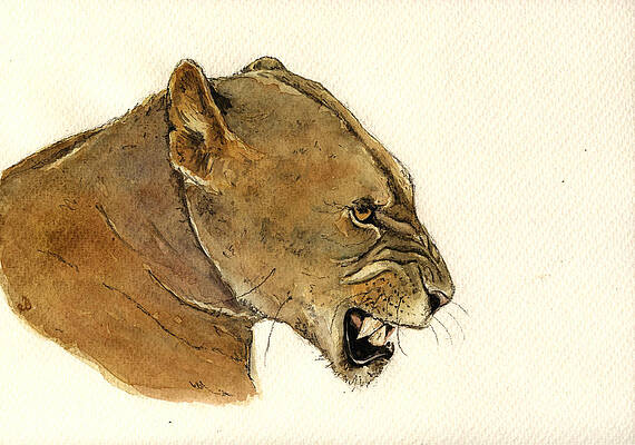 Wall Art - Painting - Lioness by Juan  Bosco