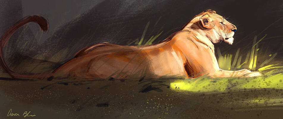 Wall Art - Digital Art - Lioness Sketch by Aaron Blaise