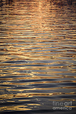 Wall Art - Photograph - Liquid gold by Elena Elisseeva