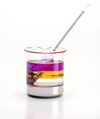 Wall Art - Photograph - Liquids Of Different Densities by Dorling Kindersley