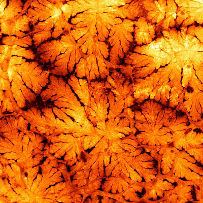 Wall Art - Photograph - Lithium At The Nanoscale, Tem by Science Source