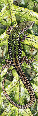 LIZARD in GREEN NATURE - Elena Yakubovich by Elena Daniel Yakubovich