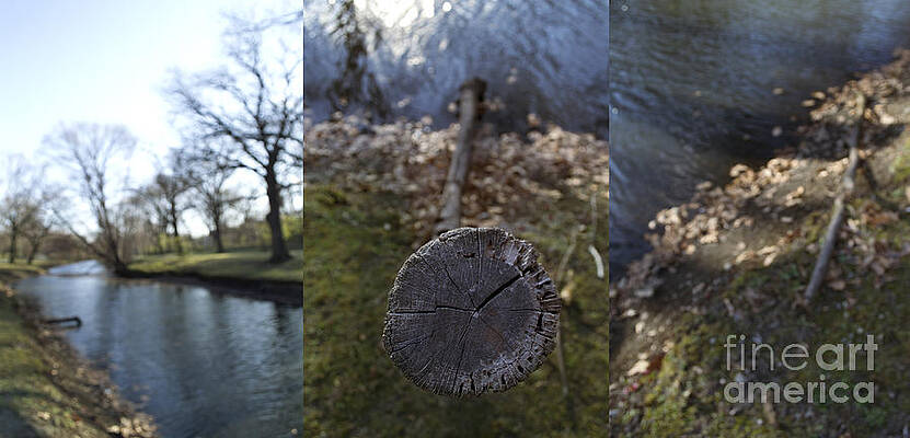 Log and River Triptych by Danielle Lebenson
