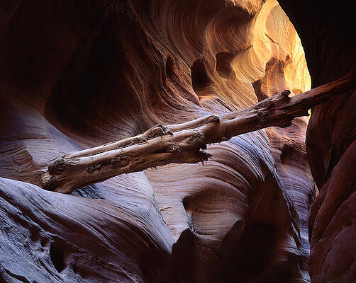 Wall Art - Photograph - Log Jam by Ray Mathis