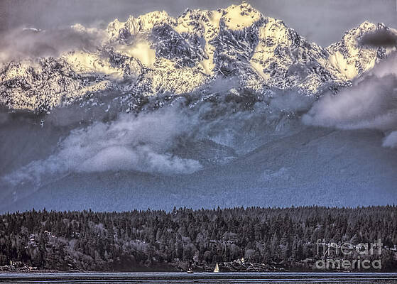 Lone Sail by Steve Leach