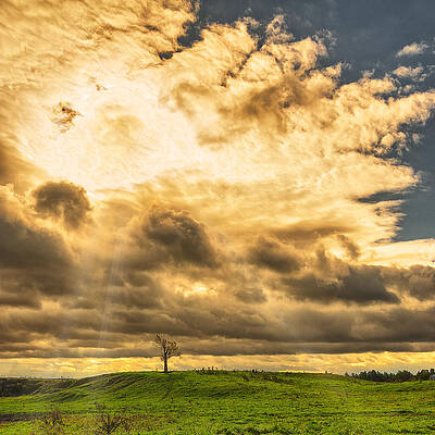 Wall Art - Photograph - Lone tree on a knoll by Chris Bordeleau