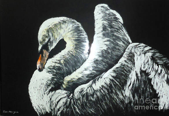Lonely Swan by Bev Morgan Lonely Swan by Bev Morgan