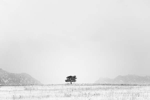 Lonesome by D Scott Clark Lonesome by D Scott Clark