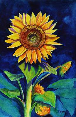 Midnight Sunflower by Jane Ricker Midnight Sunflower by Jane Ricker