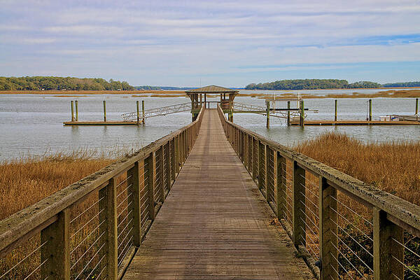 Wall Art - Photograph - Looking down the Dock by Bill Cubitt