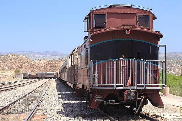 Wall Art - Photograph - Looking Forward to the Trip by R B Harper