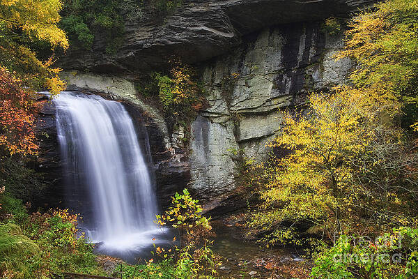 Wall Art - Photograph - Looking Glass Falls in NC by Jill Lang