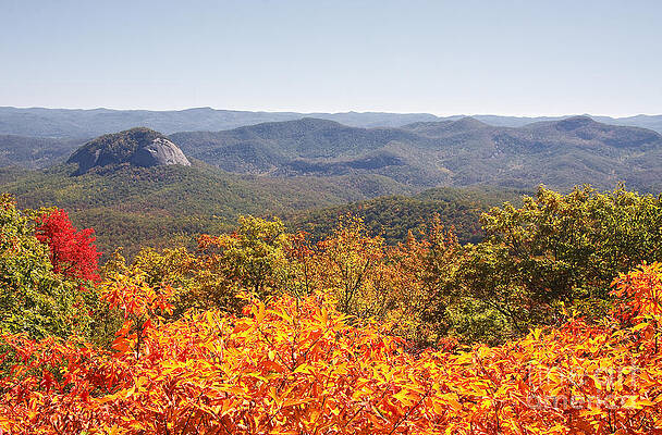 Wall Art - Photograph - Looking Glass Rock in Autumn by Jill Lang