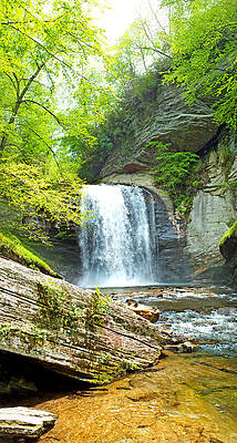 Looking Glass Waterfall in the Spring Vertical View by Duane McCullough Looking Glass Waterfall in the Spring Vertical View by Duane McCullough