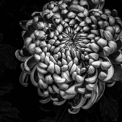 Looking Inward by Mike Goodwin