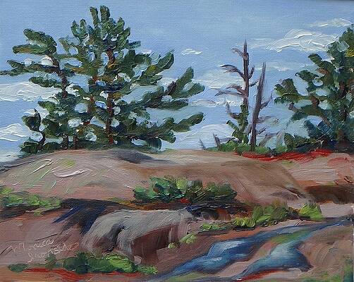 Looking Up at Thumb Point by Monica Ironside Looking Up at Thumb Point by Monica Ironside