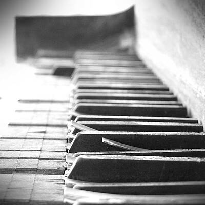 Wall Art - Photograph - Lost My Keys by Mike McGlothlen
