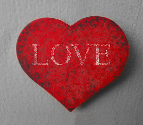 Wall Art - Photograph - Love Heart 1 by Richard Reeve