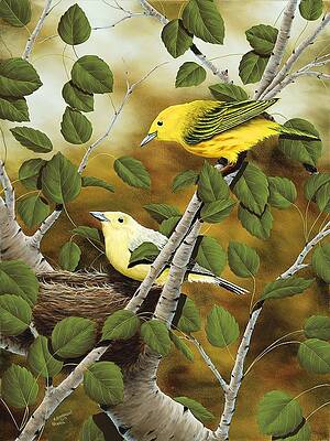 Love Nest by Rick Bainbridge Love Nest by Rick Bainbridge