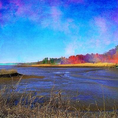 Wall Art - Photograph - Low Tide In Mill Neck #picfx #procreate by Robin Mead