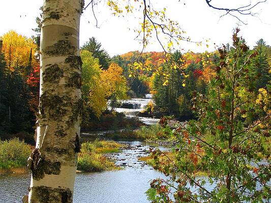 Wall Art - Photograph - Lower Tahquamenon Falls in October No 1 by Keith Stokes