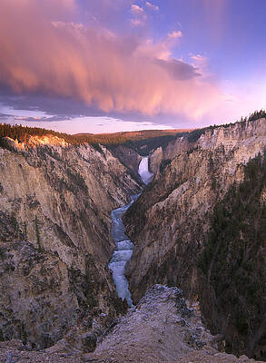 Wall Art - Photograph - Lower Yellowstone Falls  Wyoming by Tim Fitzharris