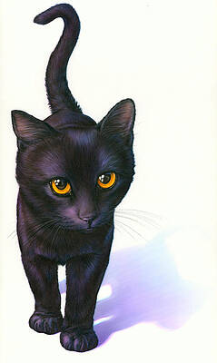 Wall Art - Photograph - Lucky Cat by MGL Licensing