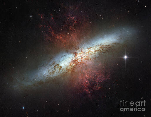 Wall Art - Photograph - M82-Ngc 3034-Cigar Galaxy by Science Source