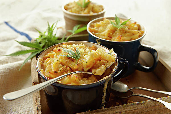 Wall Art - Photograph - Macaroni And Cheese Infused With by Lew Robertson