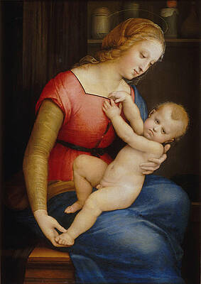 Madonna d Orleans Print by Raphael