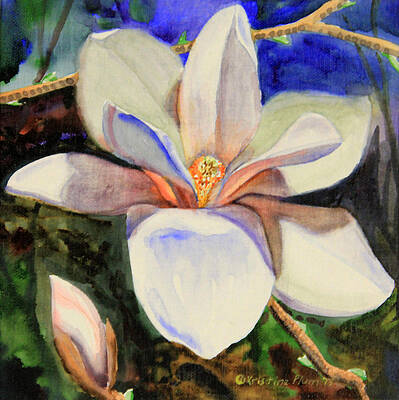 Magnolia 3D by Kristine Plum Magnolia 3D by Kristine Plum