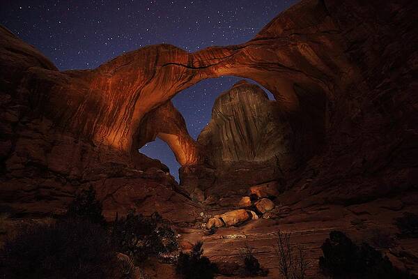 Wall Art - Photograph - Make it a Double by David Andersen