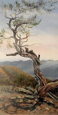 Making my Way by Deborah Uhl