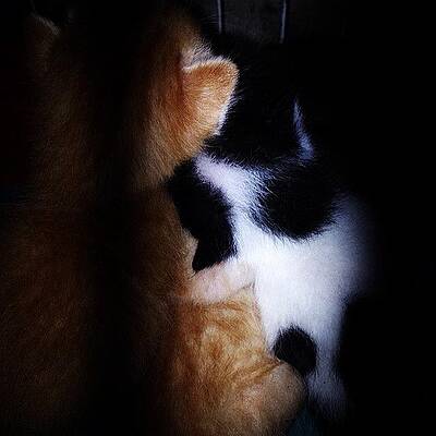 Hafiz Pips Art (Page #2 of 7)