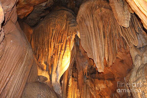 Mammoth Caves by Tammy Venable