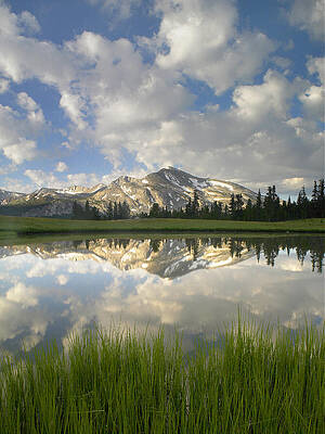 Wall Art - Photograph - Mammoth Peak And Clouds Reflected by Tim Fitzharris