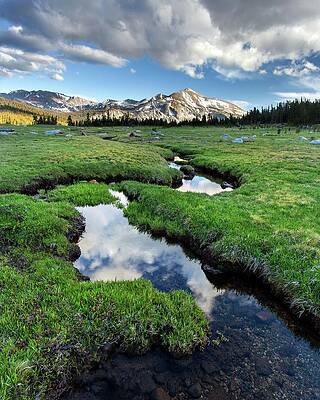 Mammoth Peak And Meadow Print by Tom Grubbe