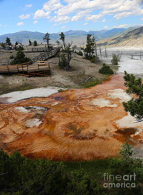 Mammoth Springs by Lisa Billingsley Mammoth Springs by Lisa Billingsley