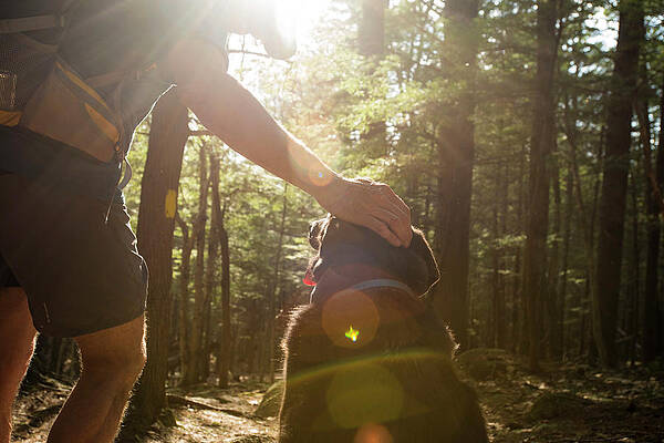 Wall Art - Photograph - Man And Dog On Hike by Joe Klementovich