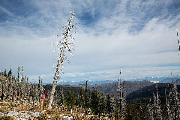 Wall Art - Photograph - Man Cutting Down A Tree Trunk Of A Dead by Craig Moore