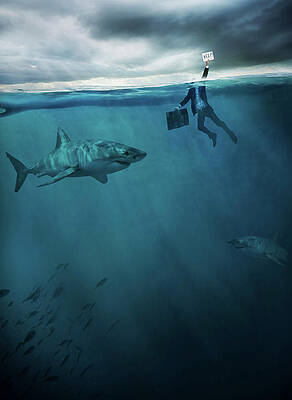 Wall Art - Photograph - Man Drowning In Sea With A Shark by Robert Benson