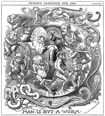 Wall Art - Photograph - Man Is But A Worm by Science Photo Library