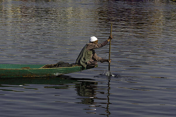 Man plying a wooden boat on the Dal Lake by Ashish Agarwal Man plying a wooden boat on the Dal Lake by Ashish Agarwal